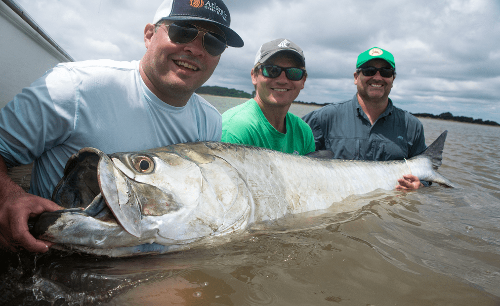 a picture of Fall Tarpon Fishing in Murrells Inlet with Carolina Guide Service