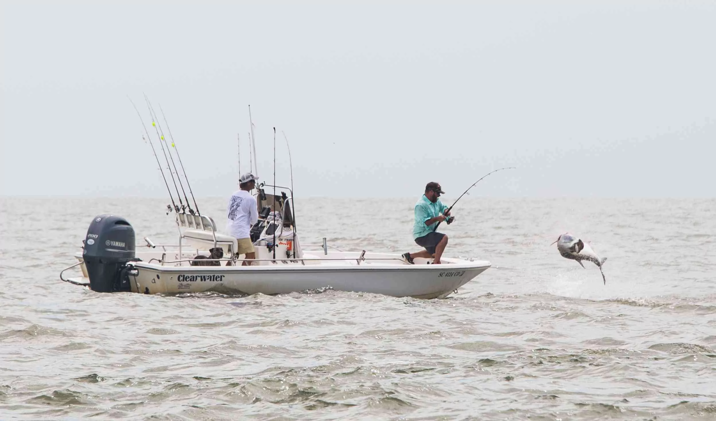 a picture of 2024 South Carolina Fishing Guide and Calendar with Carolina Guide Service