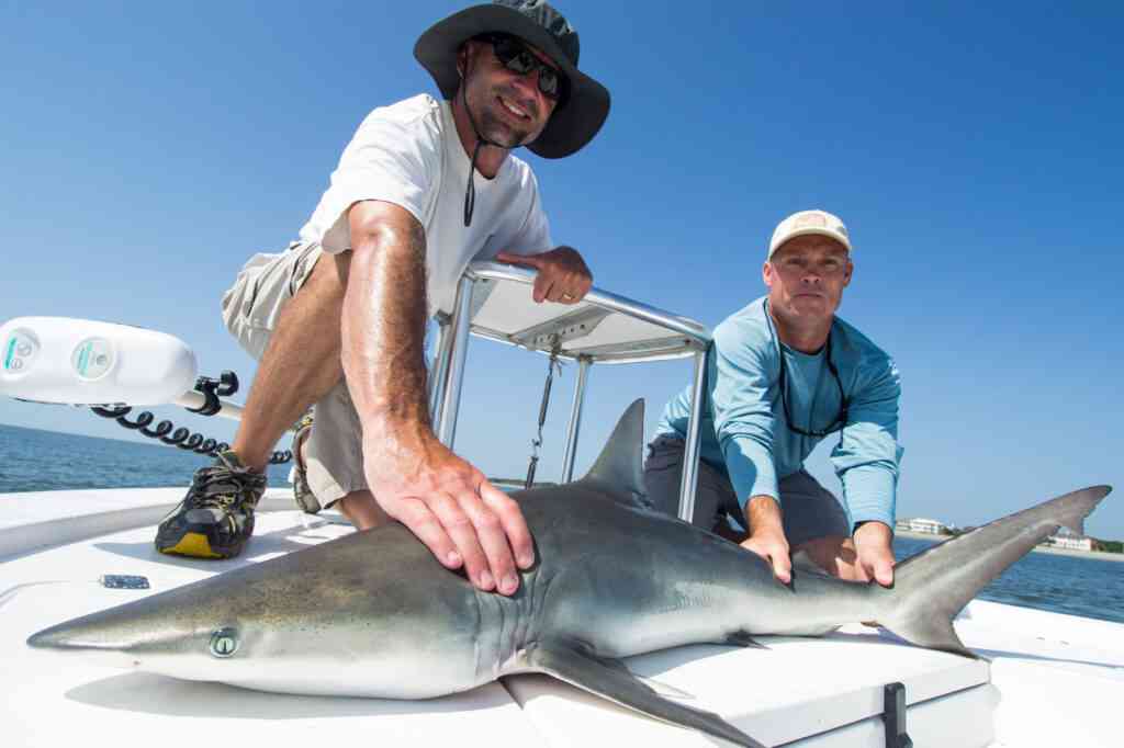 Surf Fishing in North Carolina - Giant Drum & Sharks 