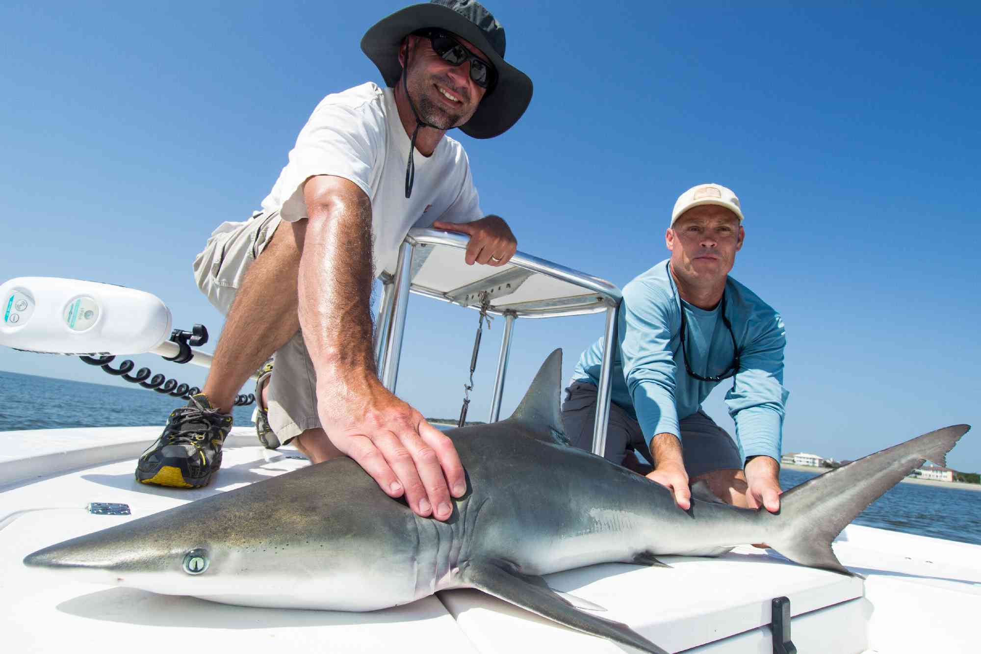 Shark Fishing in Myrtle Beach - Myrtle Beach Fishing Guide