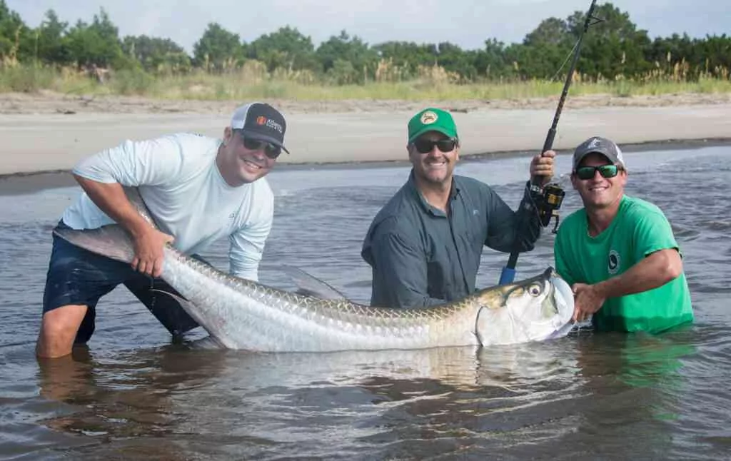a picture of Tarpon with Carolina Guide Service