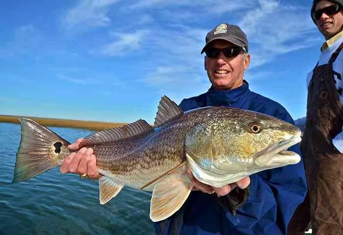a picture of South Carolina Inshore/Nearshore Fishing Calendar 2026 with Carolina Guide Service