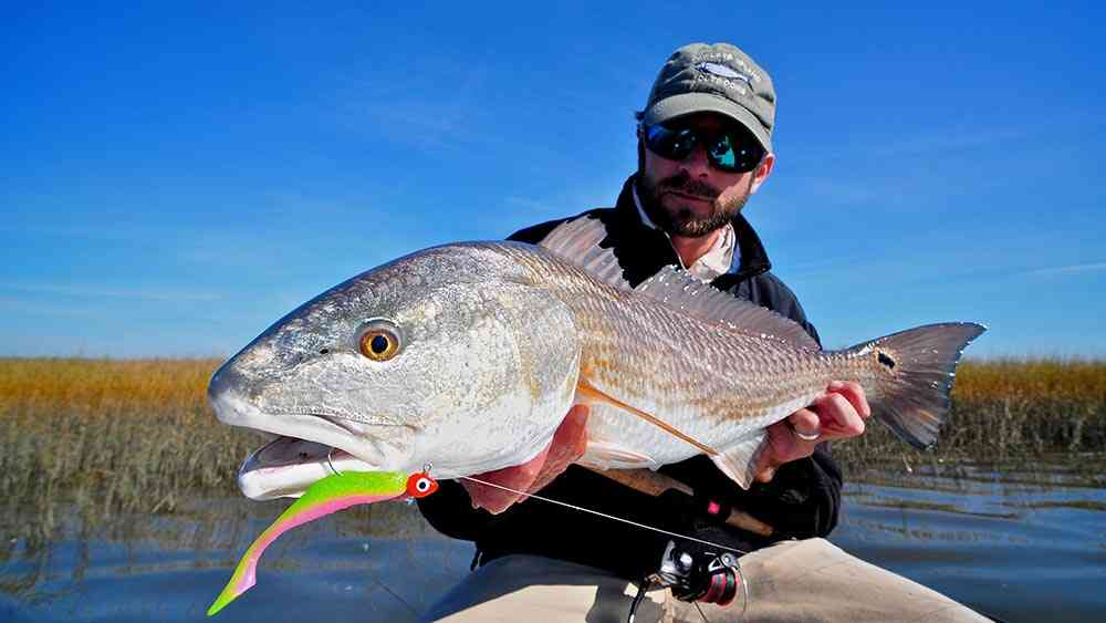 a picture of Springtime Redfish In Georgetown with Carolina Guide Service