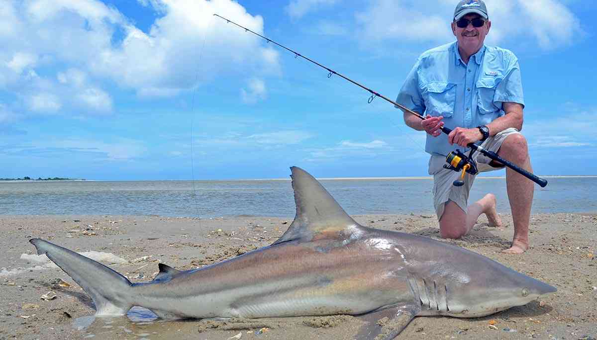 a picture of Surf Fishing in South Carolina: A Comprehensive Guide with Carolina Guide Service