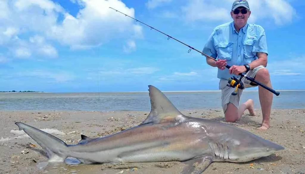 a picture of Shark Fishing Charters with Carolina Guide Service