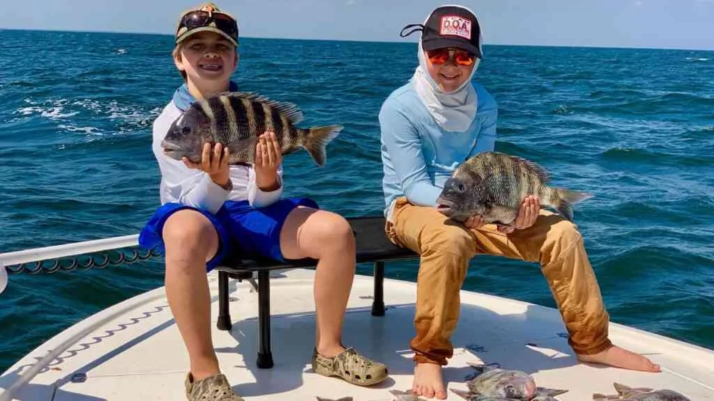 a picture of Sheepshead with Carolina Guide Service
