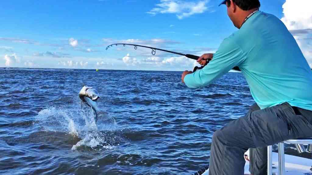 a picture of Winyah Bay Tarpon Season Underway with Carolina Guide Service