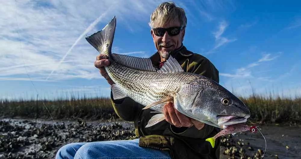 Redfish a picture of Redfish with Carolina Guide Service