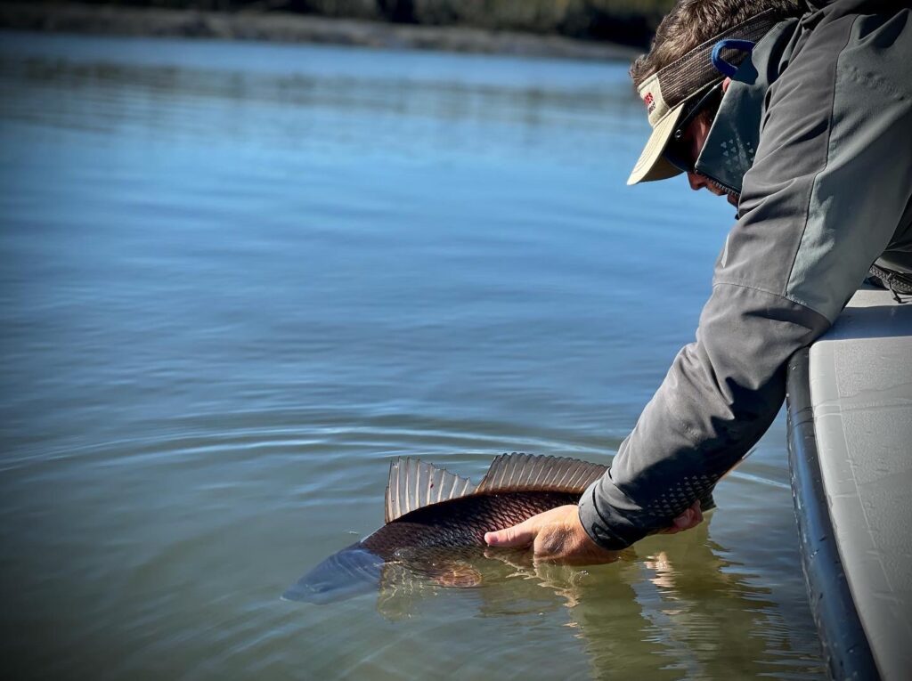 a picture of The Best Time to Go Inshore Fishing for Redfish with Carolina Guide Service