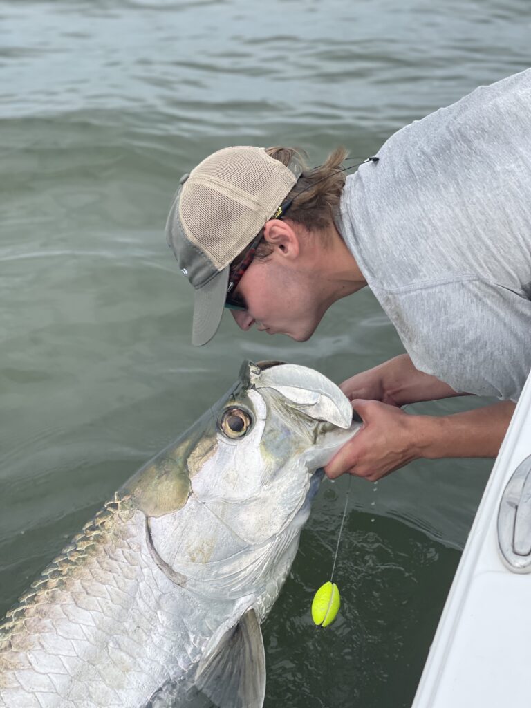 a picture of 2021 Tarpon Fishing with Carolina Guide Service