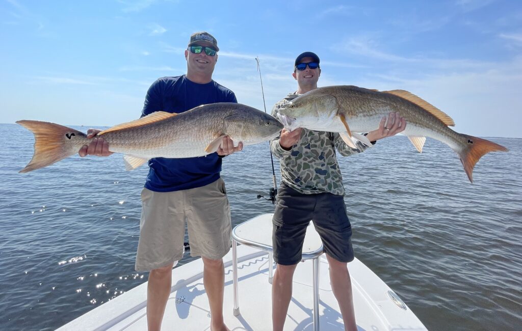 a picture of Fall Bull Redfish Run with Carolina Guide Service