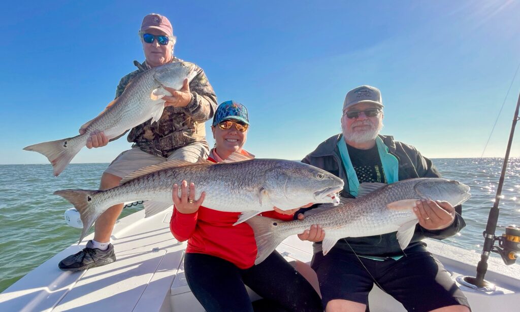 Live and cut bait are used to catch bull reds around Georgetown