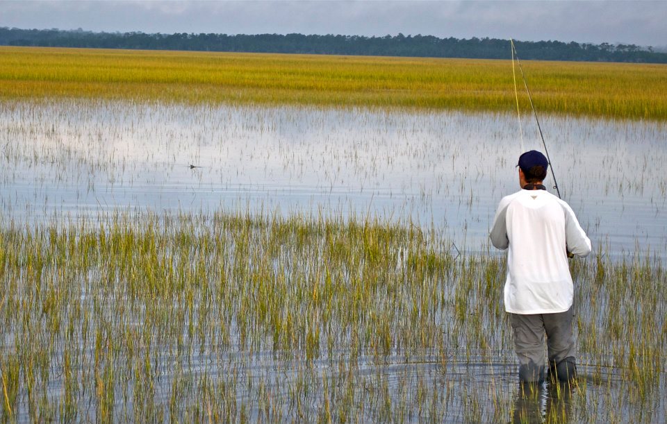 a picture of Inshore Fly Fishing Out Of Georgetown with Carolina Guide Service