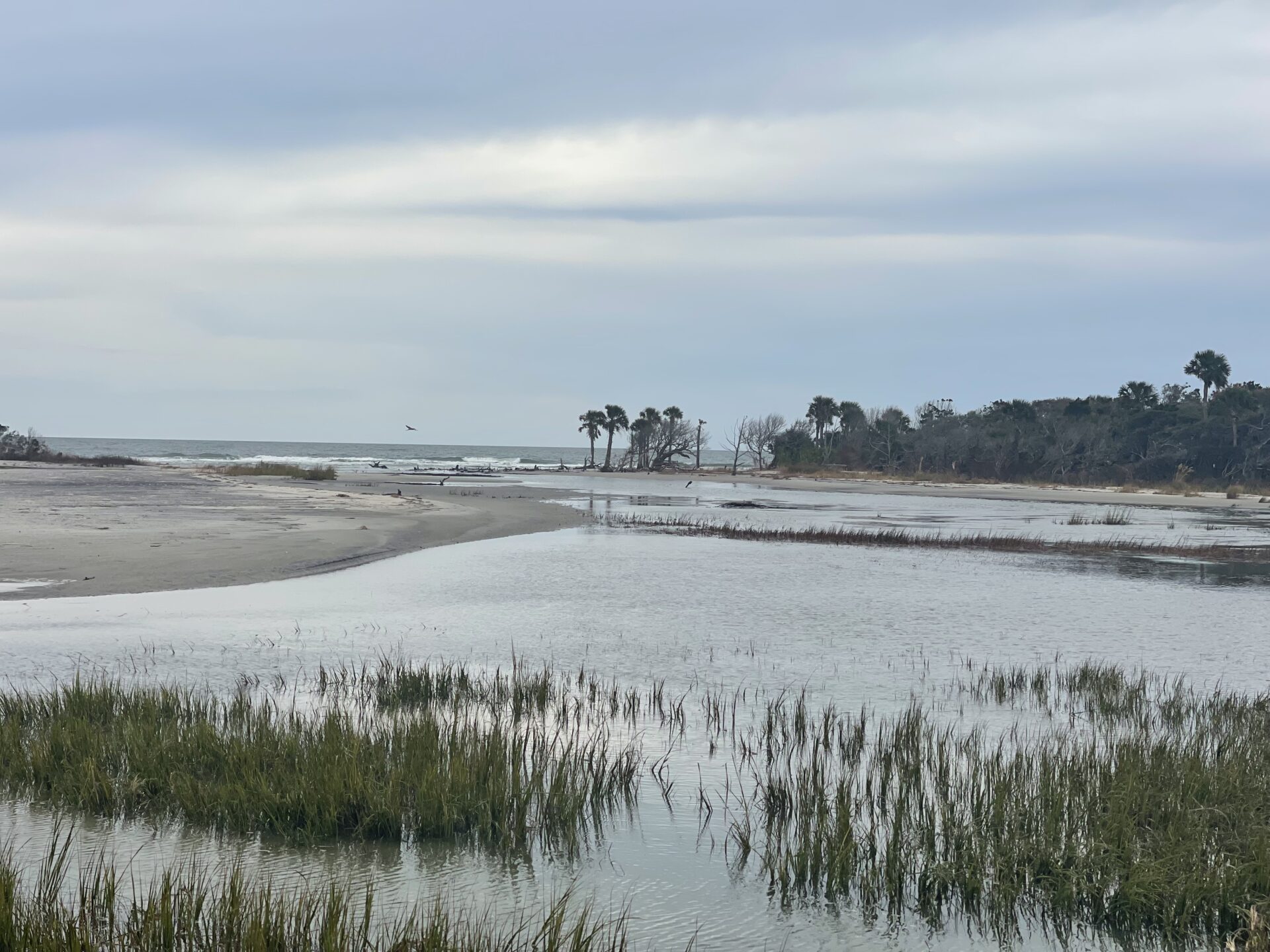 a picture of Pawleys Island Fishing with Carolina Guide Service with Carolina Guide Service