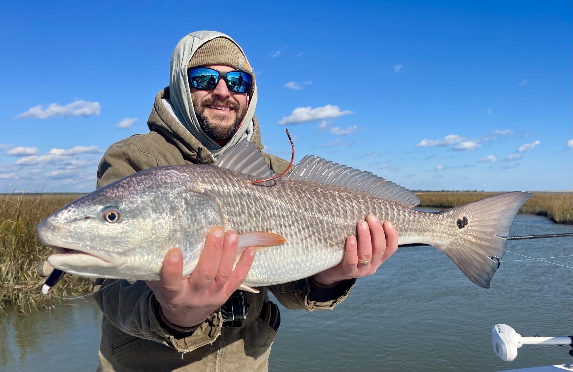 Redfish a picture of Redfish with Carolina Guide Service