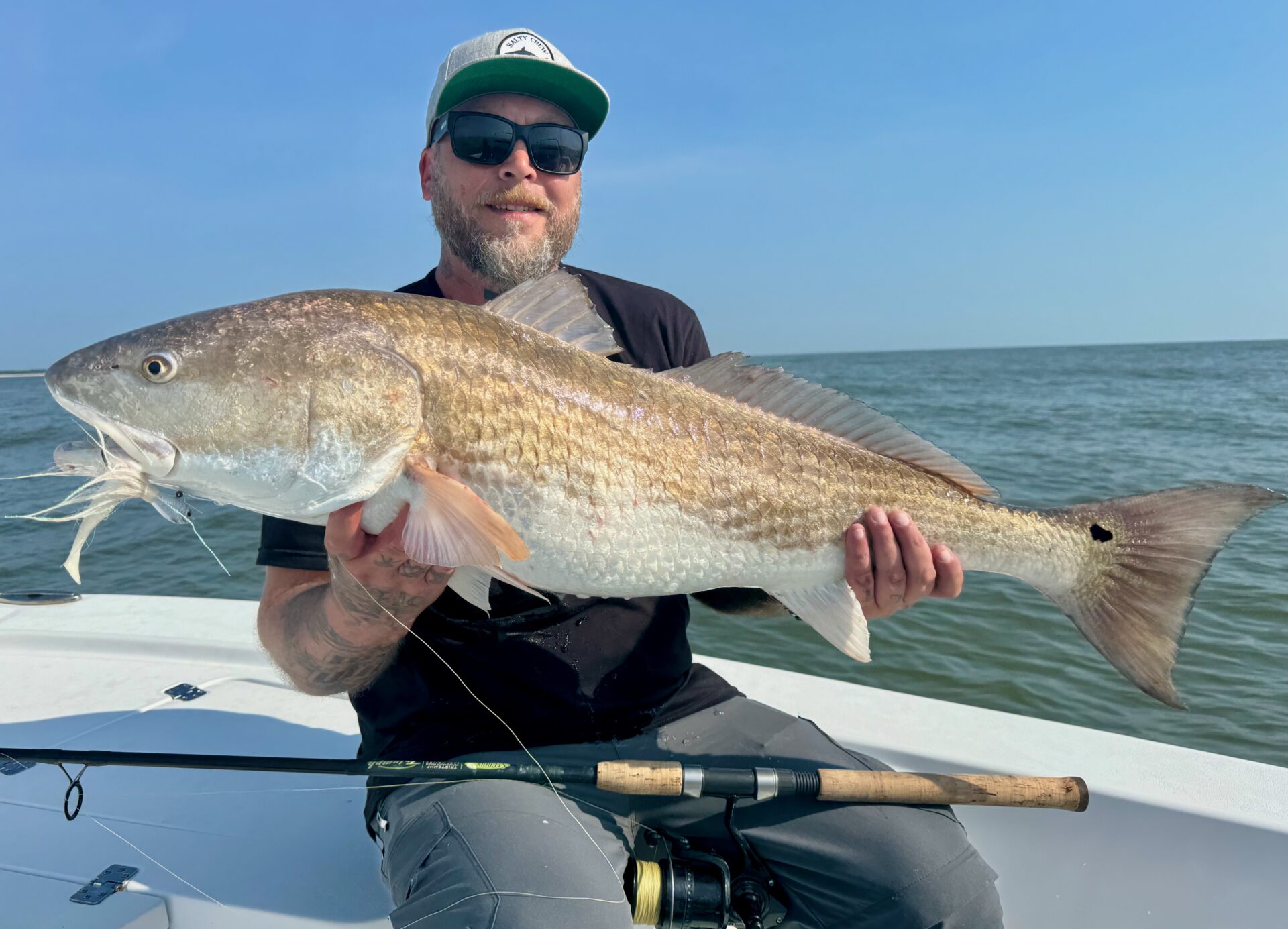 a picture of Edisto Island – Kiawah Island with Carolina Guide Service